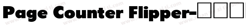 Page Counter Flipper字体转换
